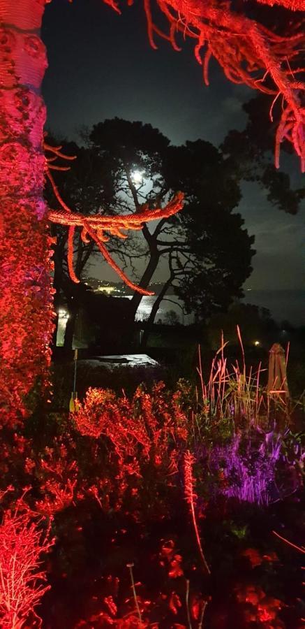 Hotel Norwegian Wood Paignton Esterno foto