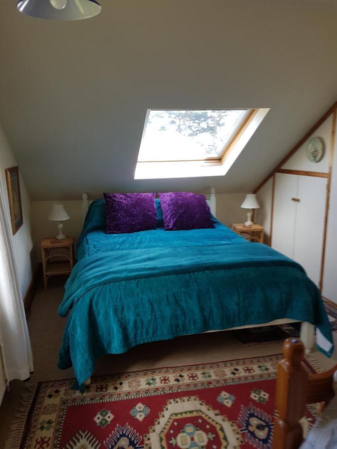 Hotel Norwegian Wood Paignton Esterno foto