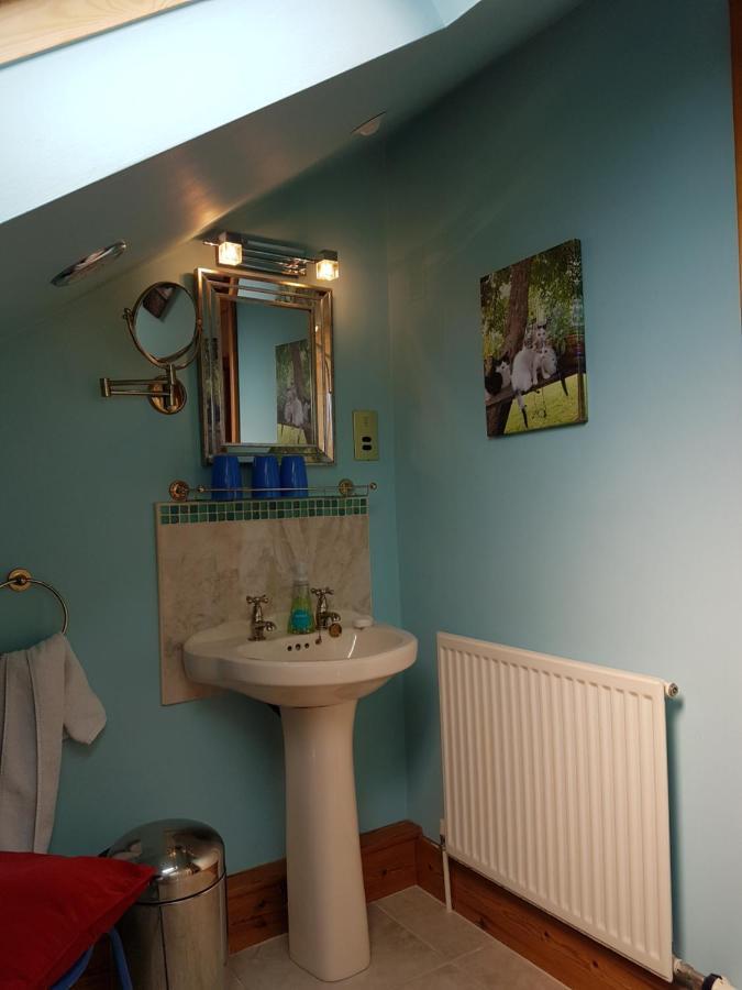 Hotel Norwegian Wood Paignton Esterno foto