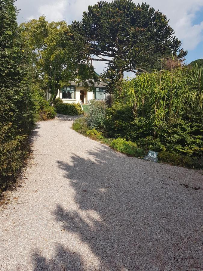 Hotel Norwegian Wood Paignton Esterno foto